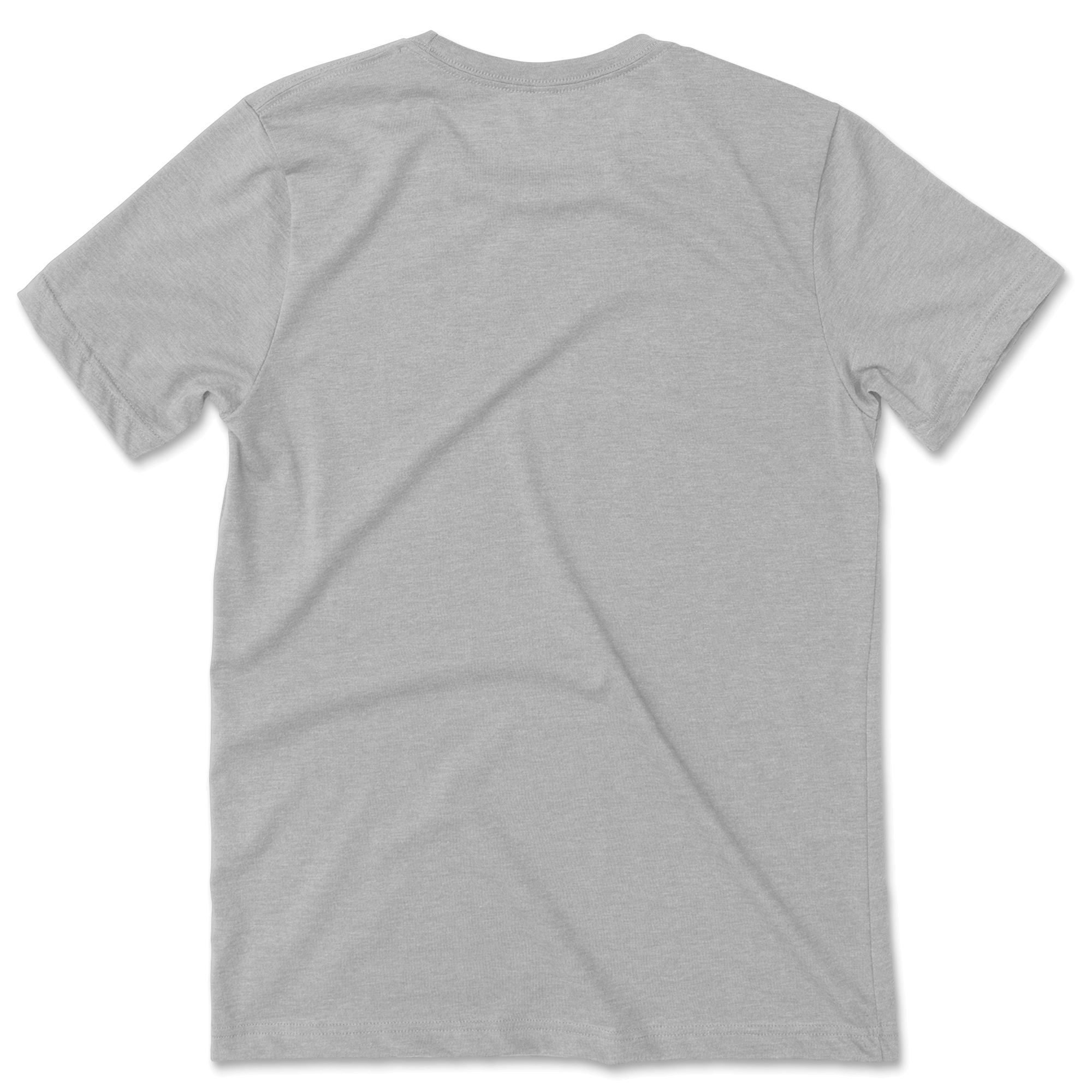 Unisex Heavyweight T - The T-Shirt Deli, Co.