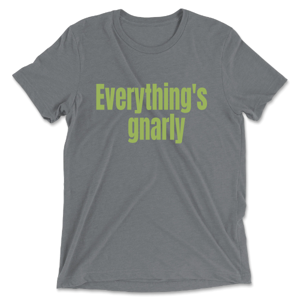 Tri-Blend T